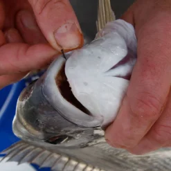 Bajo Linea Sparid Fluorocarbon Bajos De Línea|Accesorios Pesca Surfcasting