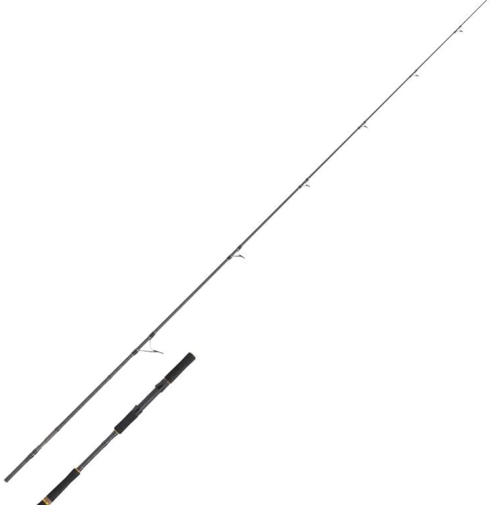 New Rayforce XBR Boat Casting Cañas Cinnetic|Embarcación