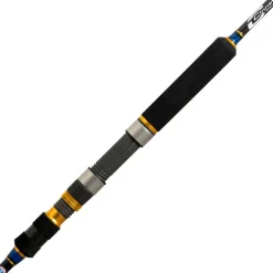 Best Rayforce XBR Classic Jigging Jigging|Cañas Cinnetic
