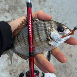 New Spitfire Rockfishing Cañas Daiwa|Rockfishing