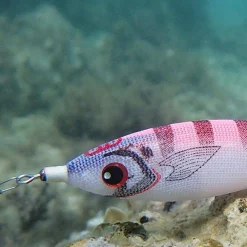 DTD Panic Fish Jibioneras Dtd