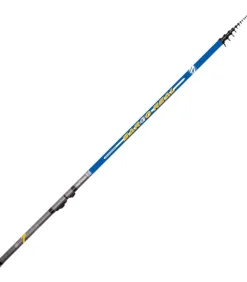 Sale 7 Sargo Real Boloñesa
