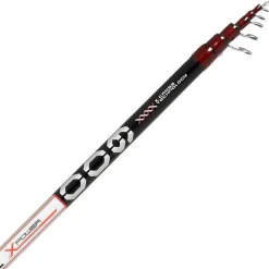 Online Belforte R22 Cañas Valdieri|Boloñesa