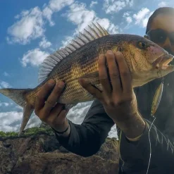 New Wobly by Lurenzo Peces Fishus|Señuelos Paseantes
