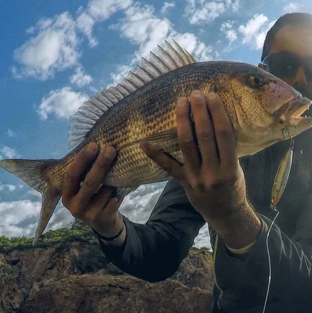 New Wobly by Lurenzo Peces Fishus|Señuelos Paseantes